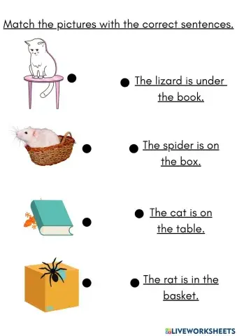 Preposition