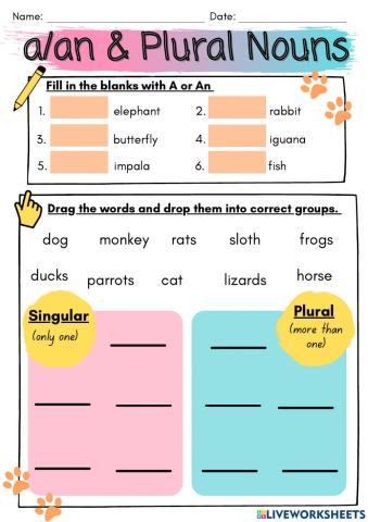 Singular & Plural (Animals)