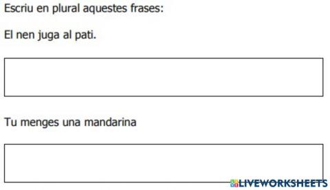 Prova Inicial català 5e ex11