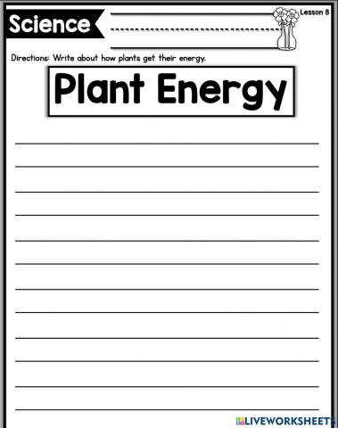 Plant energy