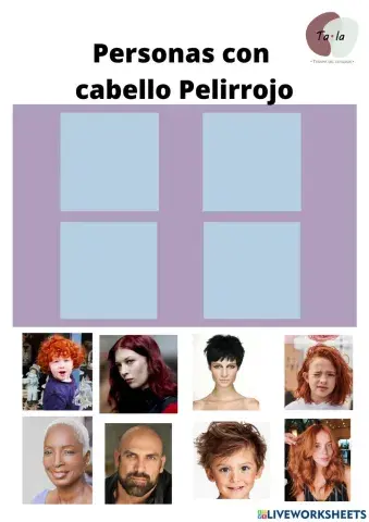 Descripción de cabello pelirojo