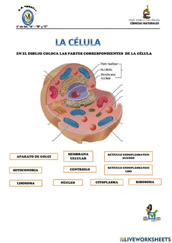 La célula