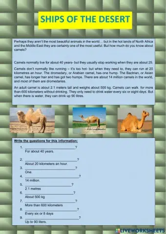 Reading about camels