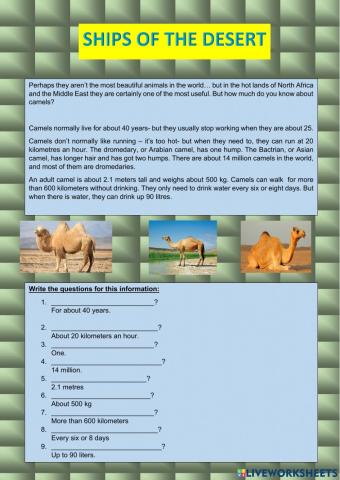 Reading about camels