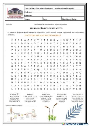 CAÇA PALAVRAS-INÍCIO-REPRODUÇÃO-8º