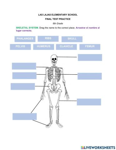 Final practice test 6