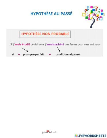 Hypothèse au passé