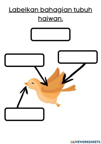 Bahagian tubuh haiwan