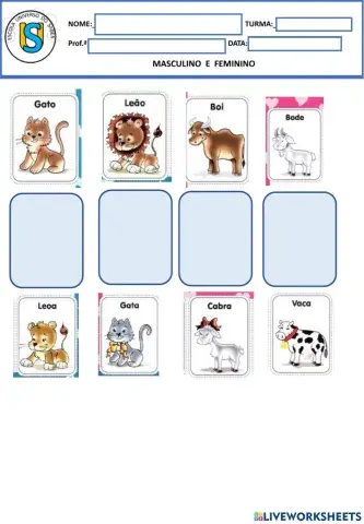 Masculino e feminino