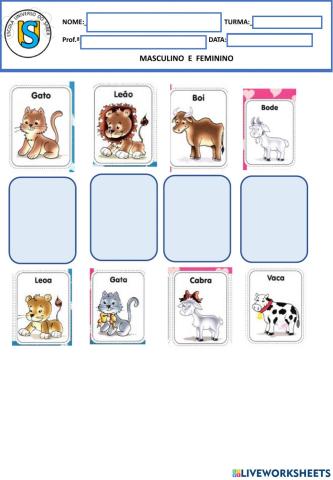 Masculino e feminino