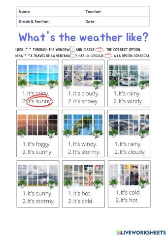 What's the weather like?