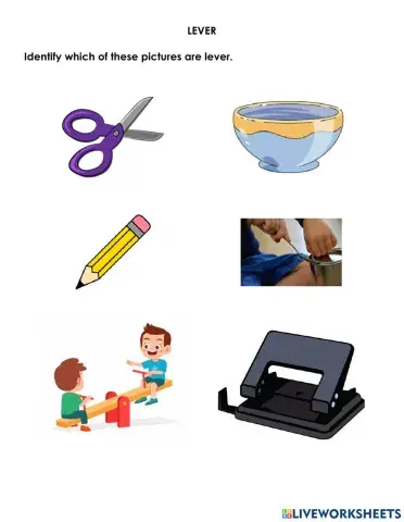 Lever