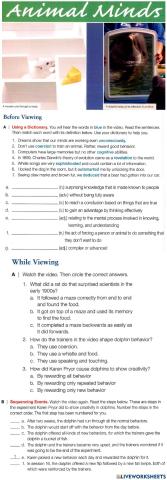 ALS3 video animal minds