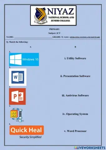System and Application Software