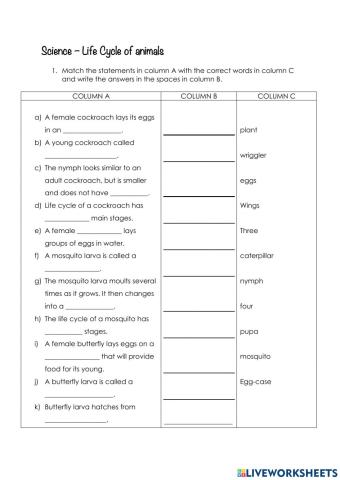 Life cycle of insects