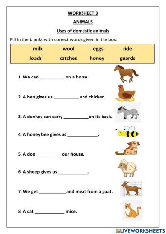 Uses of domestic animals