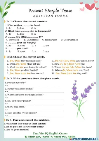 Review Question Forms (Present Simple Tense)