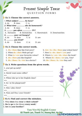 Review Question Forms (Present Simple Tense)