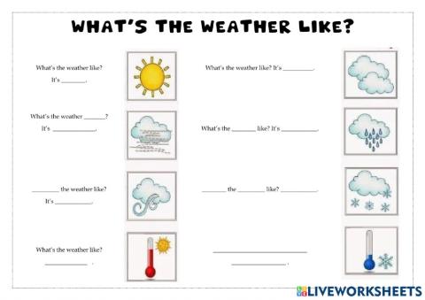 What's the weather like?