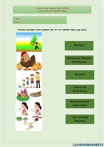 Ciri-ciri makhluk hidup