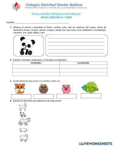 Animales y el cuerpo humano