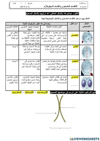 ورقة 40تفاعلية3