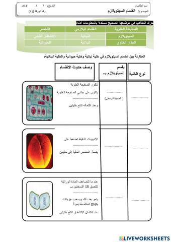 ورقة 41تفاعلية3