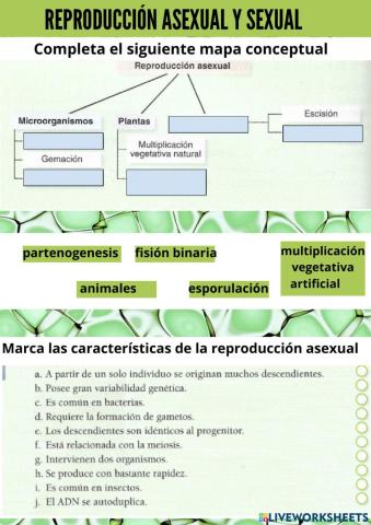 reproducción asexual
