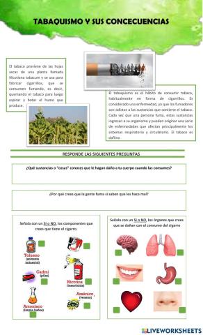 Tabaquismo y concecuencias