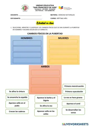 Cambios en la pubertad