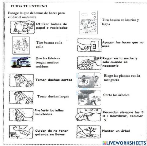 Cuido el medio ambiente