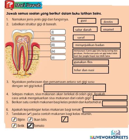 Soalan sains Buku Teks Tahun 3 ms 57