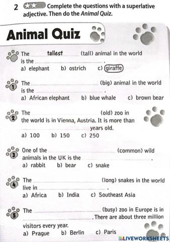 Animal Quiz
