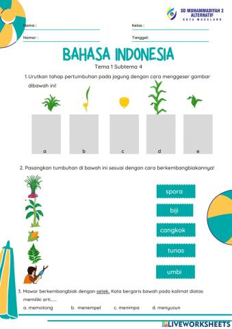 Bahasa Indonesia Kelas 3 Tema 1 Subtema 4