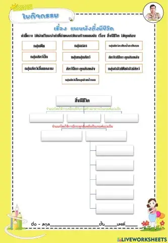 แผนผังการจำแนกสิ่งมีชีวิต