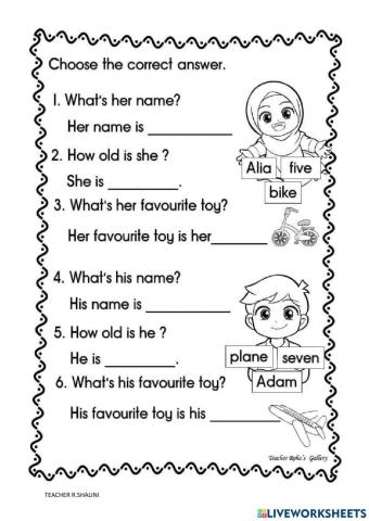 Toys - he,his,she,her