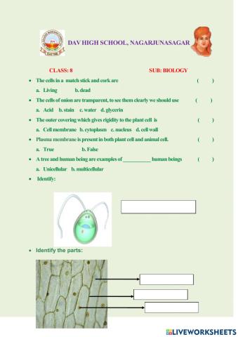 Cell - The basic unit of life