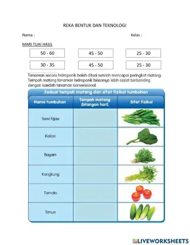 Penanaman secara hidroponik