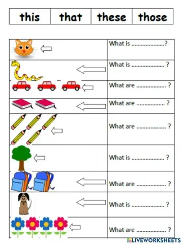 แบบทดสอบThis-That