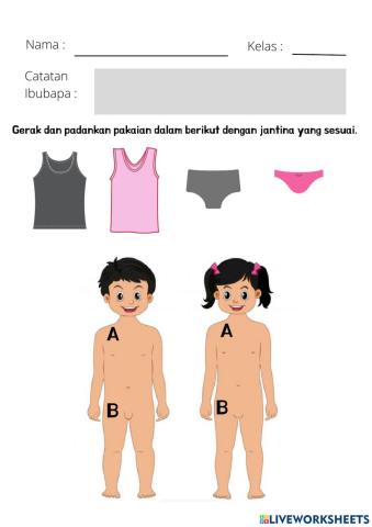 Pakaian Dalam Mengikut Jantina