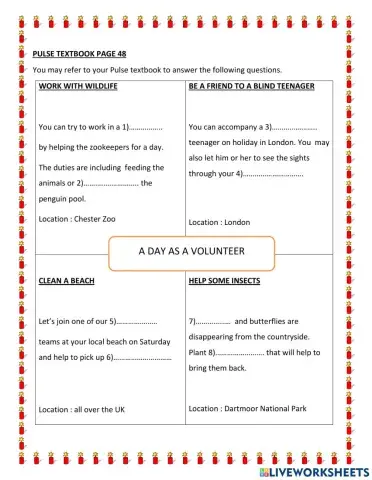 A day as a volunteer