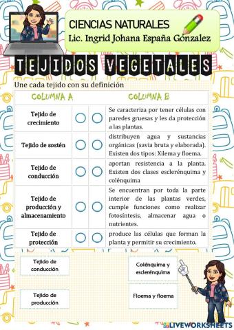 Tejidos vegetales