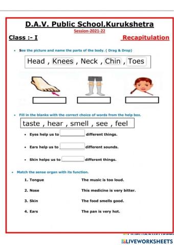 Lesson:1(More About Me) Worksheet