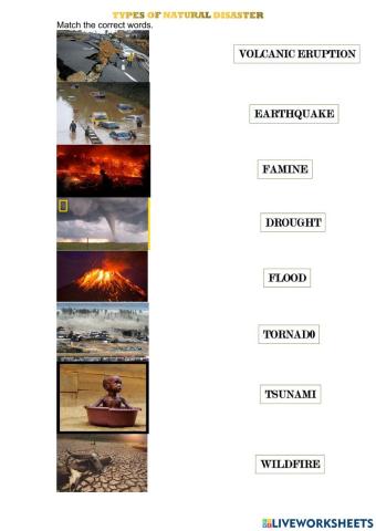 Types of natural disaster