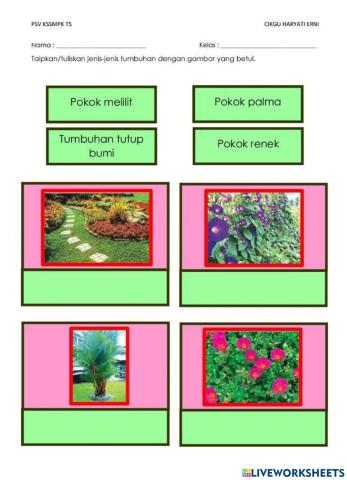 Soalan 1