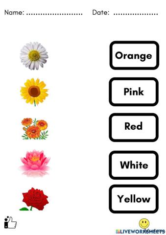 Colors Flowers