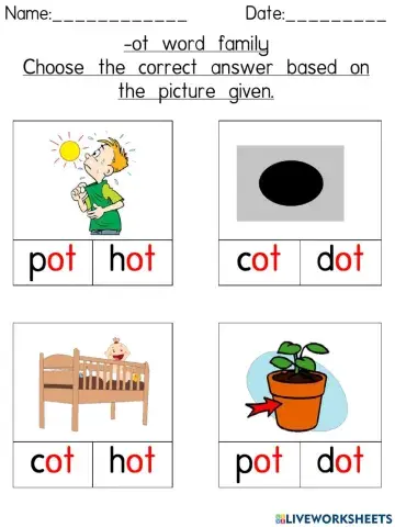 -ot word family (Choose the correct answer based on the picture given)