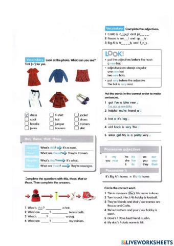 Beginner review This , that , these ,  those,  have got, possesive