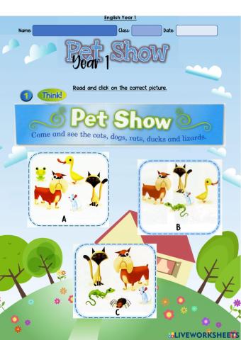 Year 1: Pet Show 5