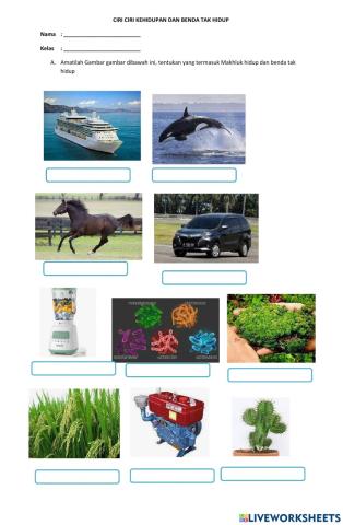 Perbedaan Makhluk Hidup dan Benda Tidak Hidup